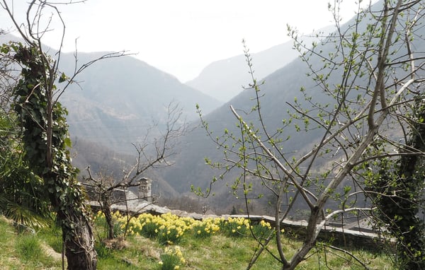 Charmantes 5.5-Zimmer-Einfamilienhaus in Loco, Tessin 1