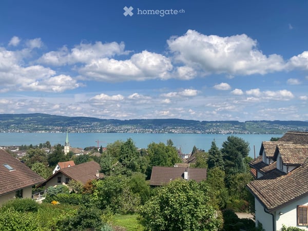 Grosszügige 3.5-Zimmer-Wohnung mit Garten und Seesicht in Wädenswil 2