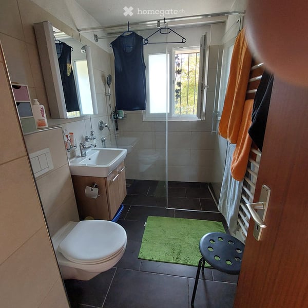 Einfamilienhaus in Affoltern am Albis 4