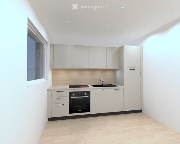 Charmant appartement de 2 pièces rénové avec terrasse à Ecublens 6