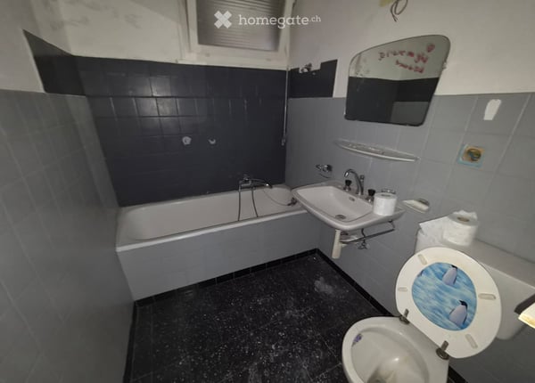 Charmant appartement de 2 pièces rénové avec terrasse à Ecublens 5