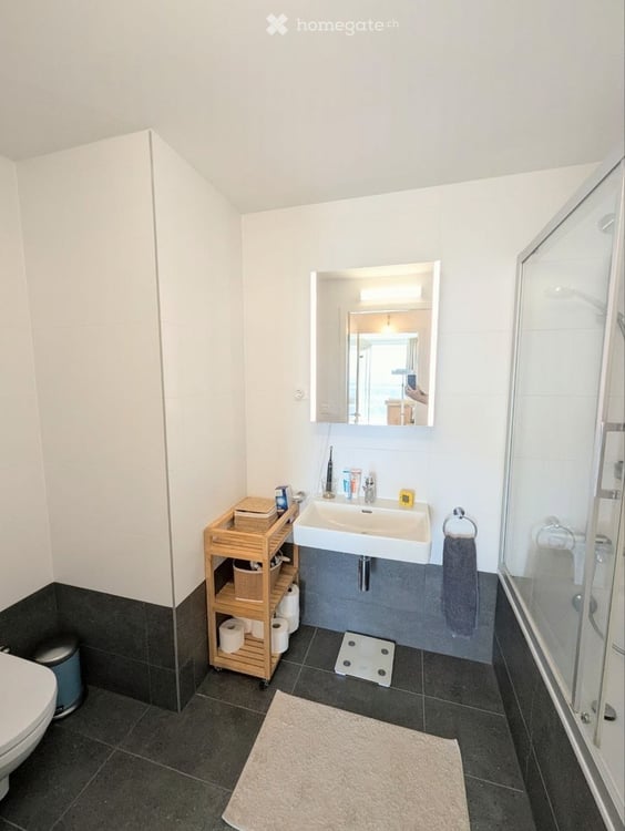 Superbe appartement en duplex avec vue magnifique sur Genève – Chêne-Bourg 5