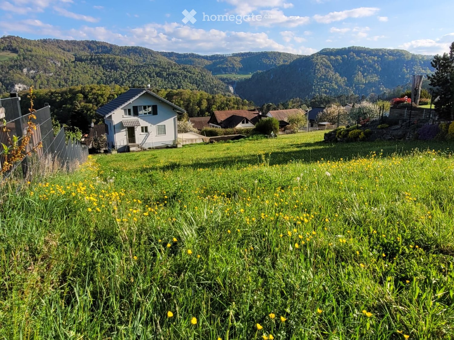 A peaceful countryside scene with a white house, green meadow, and distant mountains.