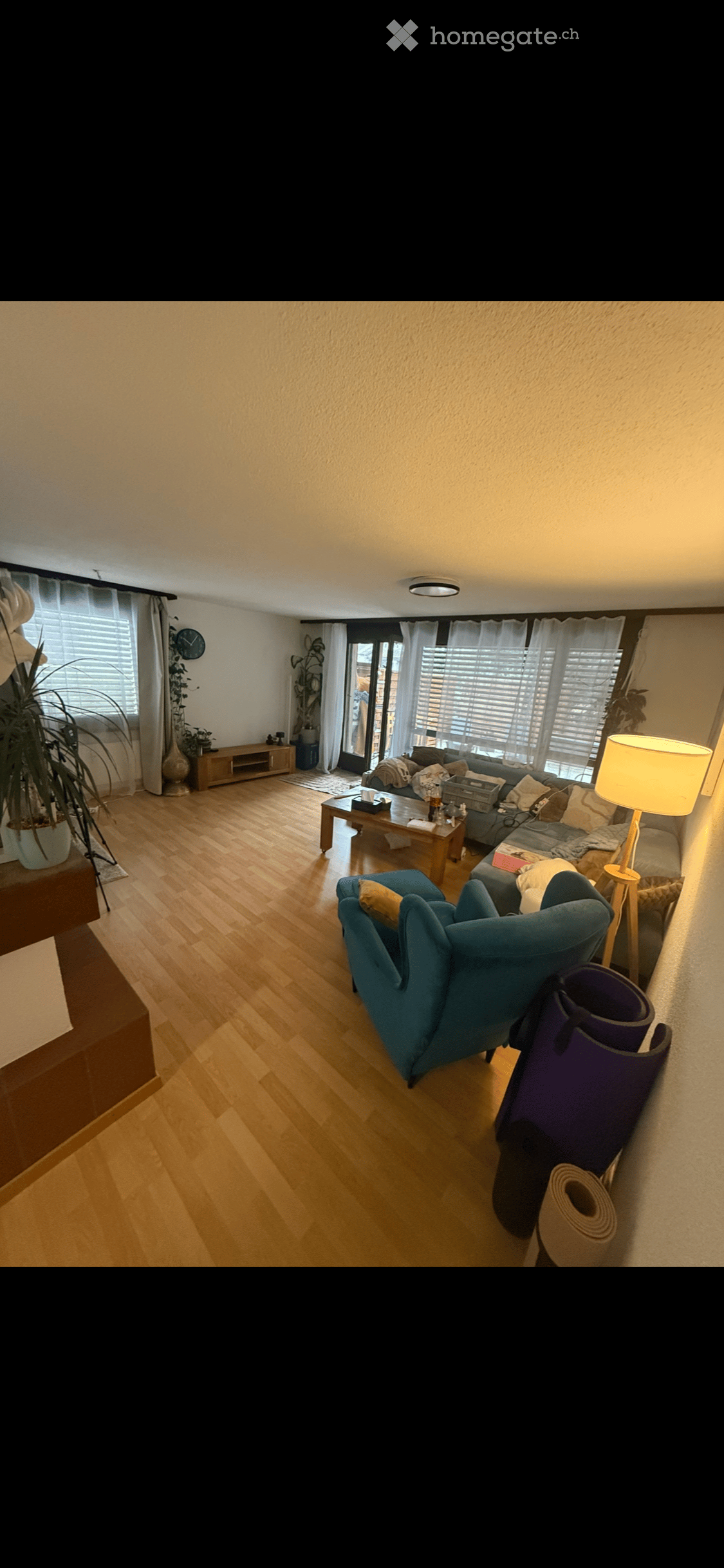 Modern living room with wooden flooring, large windows with blinds, a grey sofa, a blue armchair, a coffee table, a floor lamp, and decorative plants.