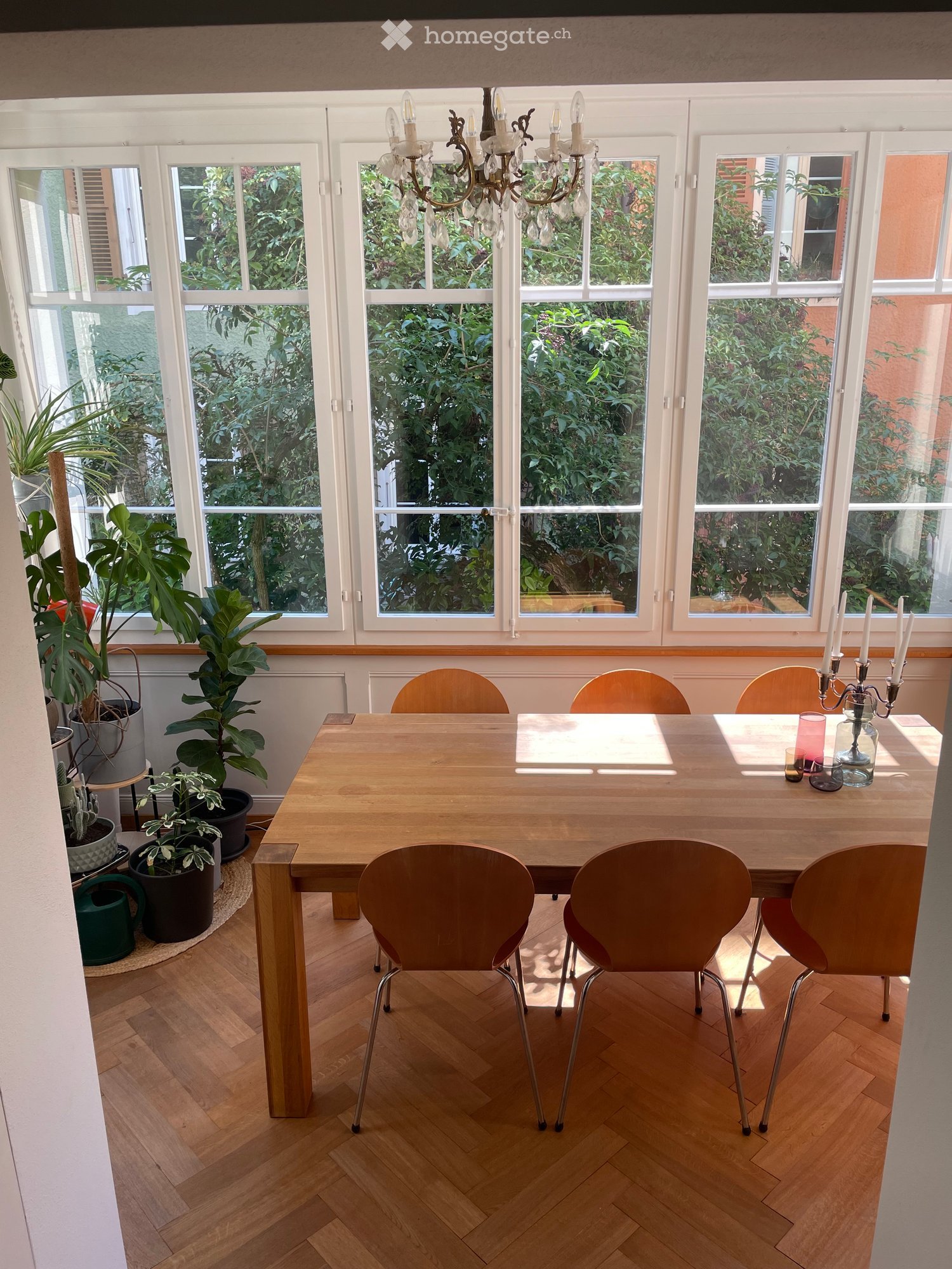 Brightly lit dining room with large windows, wooden dining table, six chairs, candle holder with candles, and several potted plants.