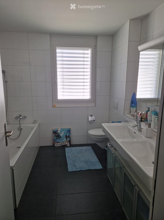 Helle 4.5-Zimmer-Wohnung mit Balkon in ruhiger Lage – Ottenbach 5