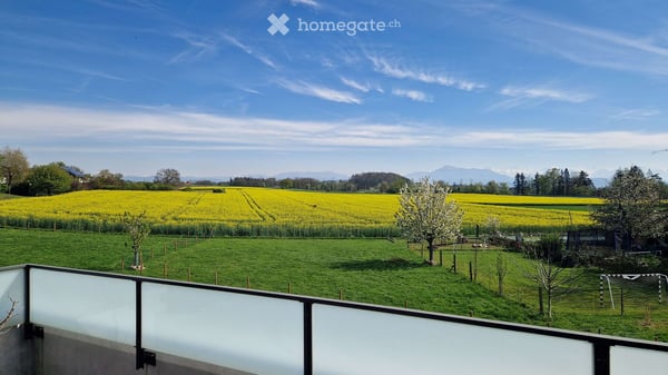 Helle 4.5-Zimmer-Wohnung mit Balkon in ruhiger Lage – Ottenbach 12