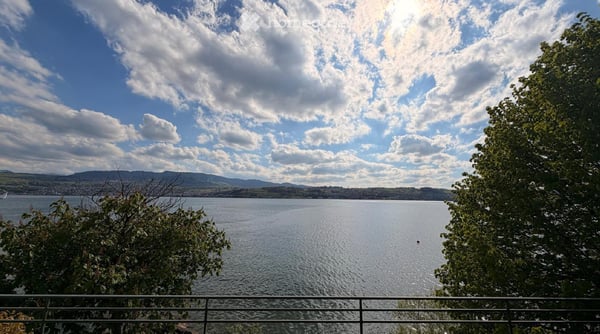 Wunderschön gelegene 6-Zimmer-Villa mit Seeanstoss 9