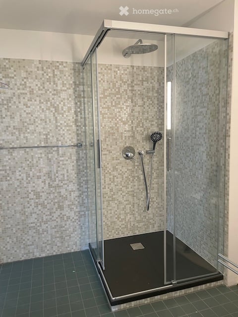 3,5-Zimmerwohnung mit Dachterrasse und Cheminée - 'OBERI Central' - W11 5