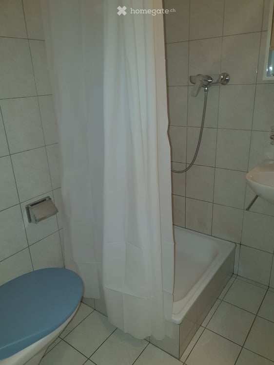 Studio Wohnung an der Furkastrasse in Bitsch 5