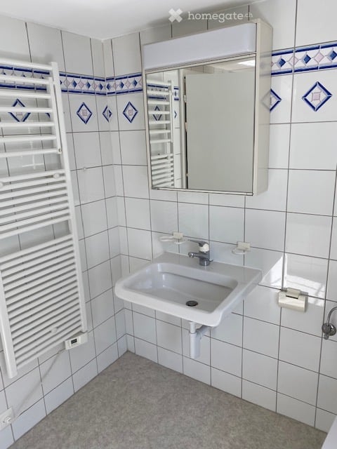 Charmante 2.5-Zimmer-Wohnung in Wädenswil – Altbau, gepflegt und ruhig gelegen 9