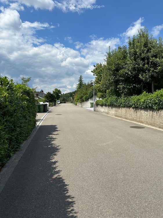 Baulandparzelle - Unverbaubare Aussichtslage in Niederhasli 5
