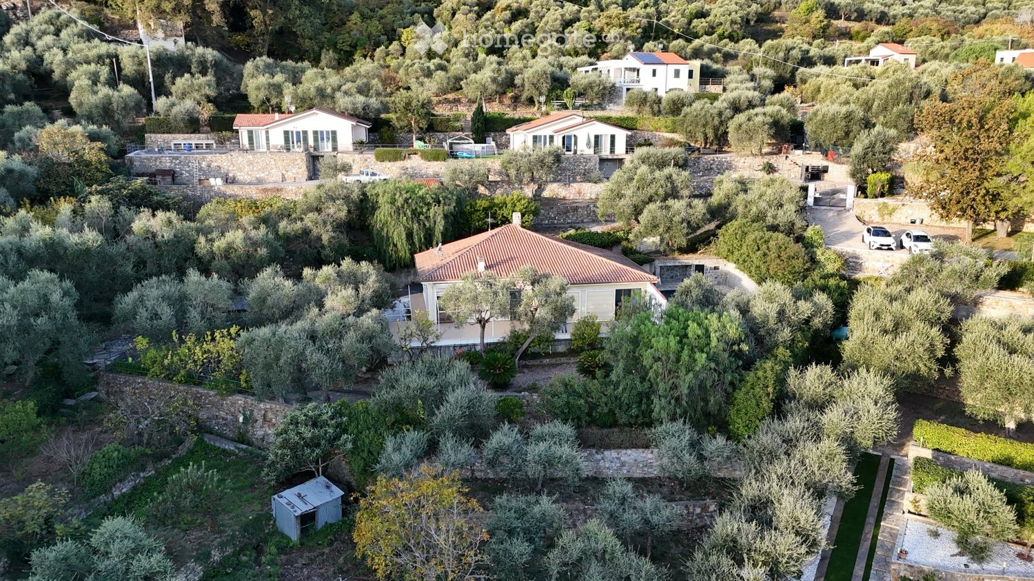 Aerial view of a rural residential area with multiple houses surrounded by olive trees and greenery. The houses have varied architectural styles, including stone walls and tiled roofs, with visible driveways and parked cars.