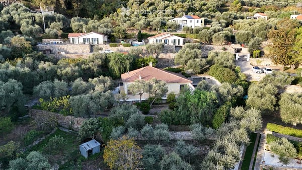 Aperçu de l'image de l'immobilier
