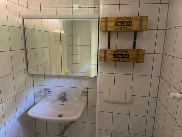 Frisch renovierte Wohlfühloase im Neckertal mit Balkon ideal für Tierliebhaber, Parkplatz inklusive 14