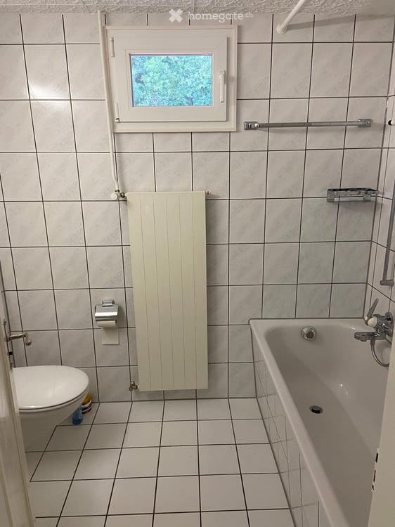Erstbezug nach Renovation, stilvoller Altbau mit neuer Küche 20