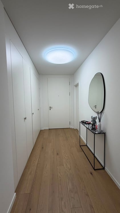 Spacieux appartement de 5 pièces neuf à Troinex 4