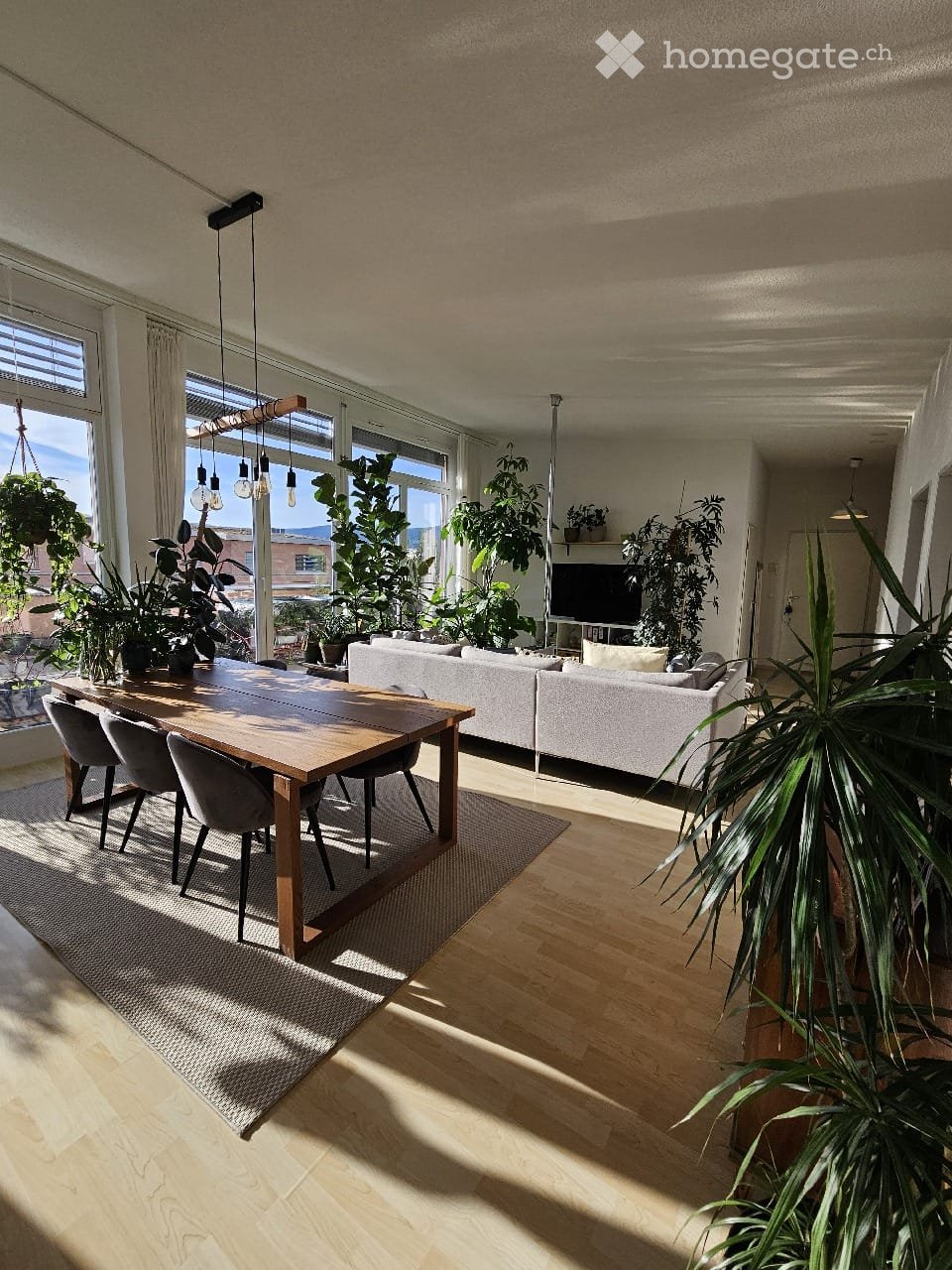 Bright, open living and dining area with large windows, wooden flooring, a white sofa, a wooden dining table with chairs, and several potted plants.