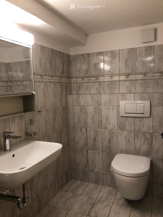 6-Zimmer-Einfamilienhaus in Oberwinterthur 4