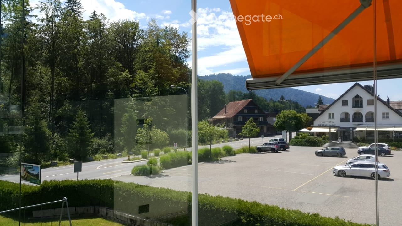 View from a hotel balcony showing a parking lot with several cars, a road, and a scenic view of a forested area with mountains in the background. A large hotel building is visible in the distance.