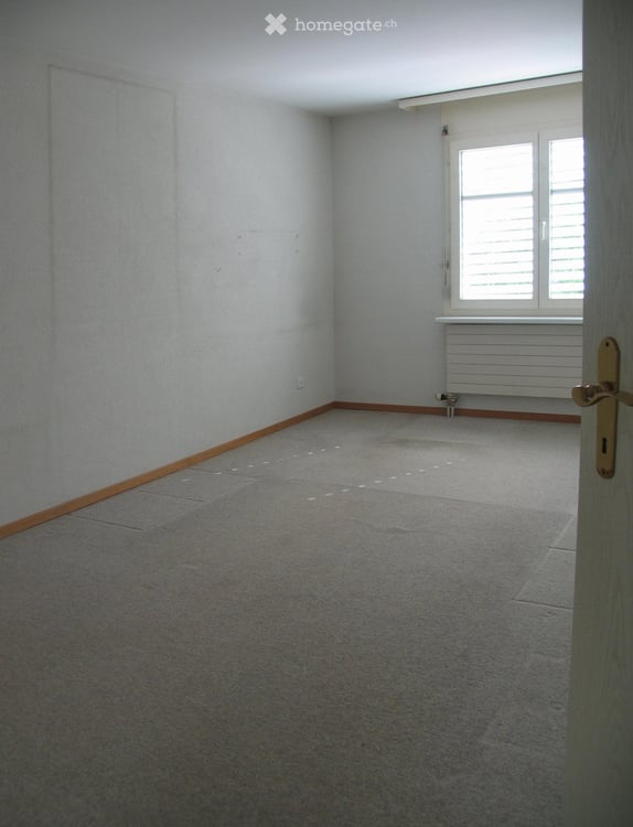 Charmante 4.5-Zimmer-Wohnung mit Balkon und Garage in Winterthur -Seen 7