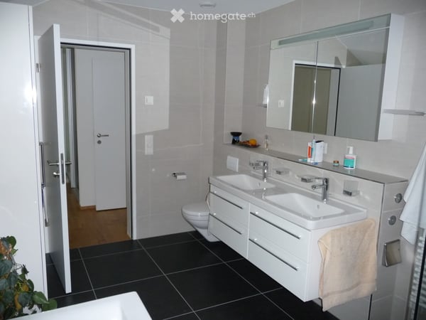 Wunderschöne Attika-Wohnung in Bestlage am See in Pfäffikon 5