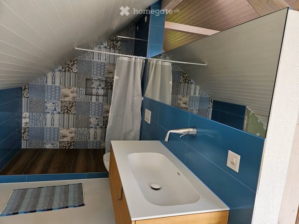 Charming Furnished Attic Studio — Oberglatt 6