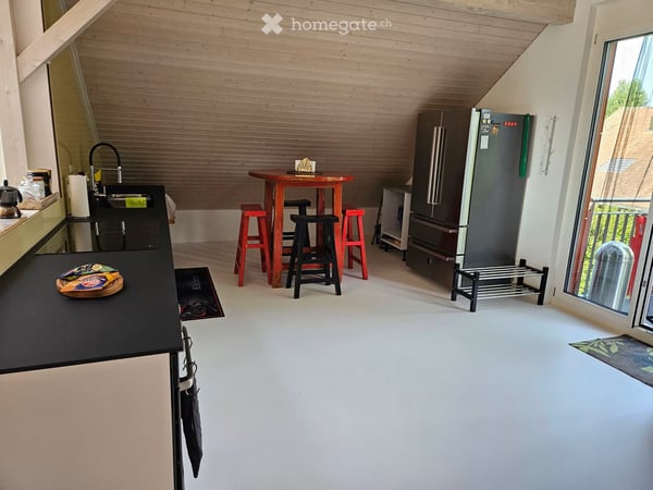 Charming Furnished Attic Studio — Oberglatt 3