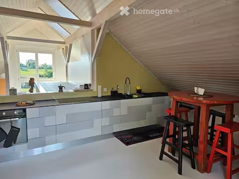 Charming Furnished Attic Studio — Oberglatt 4