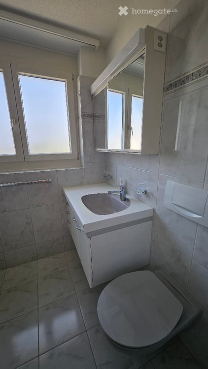Charmante 4.5-Zimmer-Maisonette-Wohnung in Effretikon 7