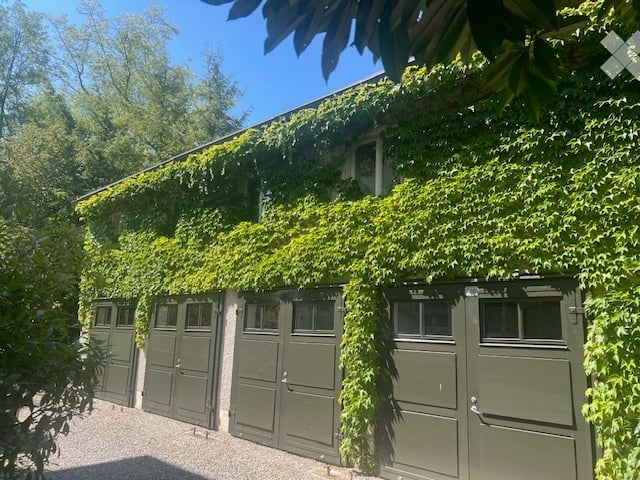A row of green garage doors covered in climbing ivy, with a clear blue sky and surrounding trees visible.