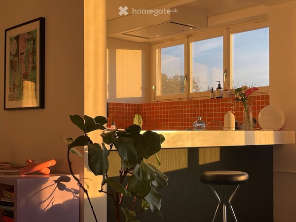 Charmante 2.5-Zimmer-Wohnung mit Stadtblick in Zürich-Albisrieden 2