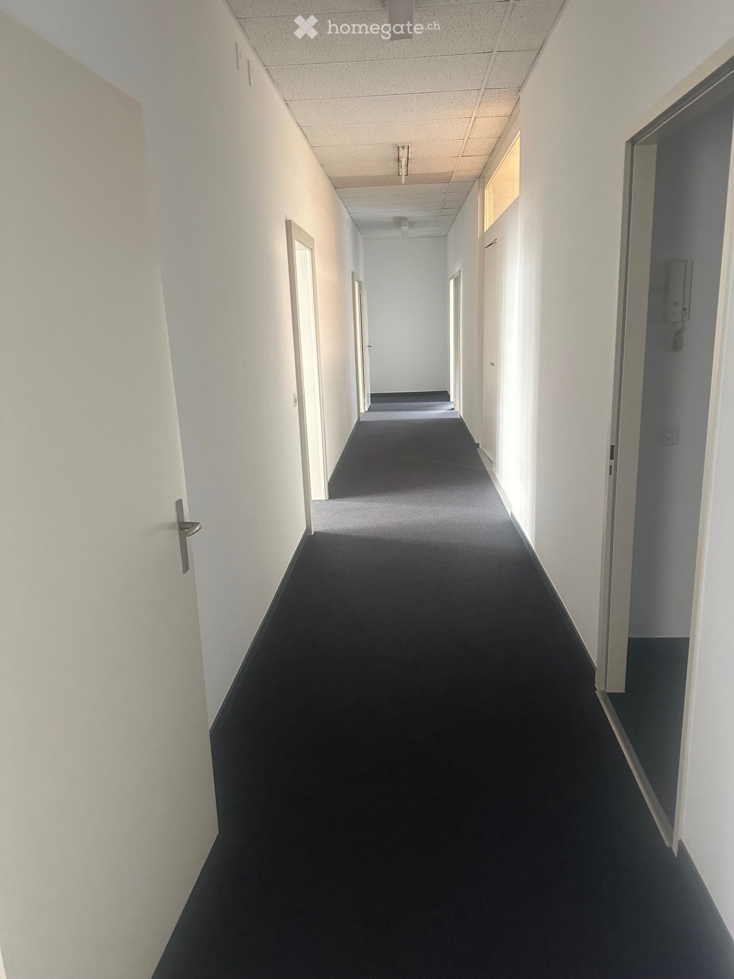 Empty corridor, grey carpet, white walls, ceiling lamps
