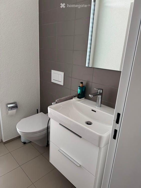 Schöne, moderne EG 3 1/2 Zi-Wohnung in Weinfelden (Nachmieter gesucht) 8