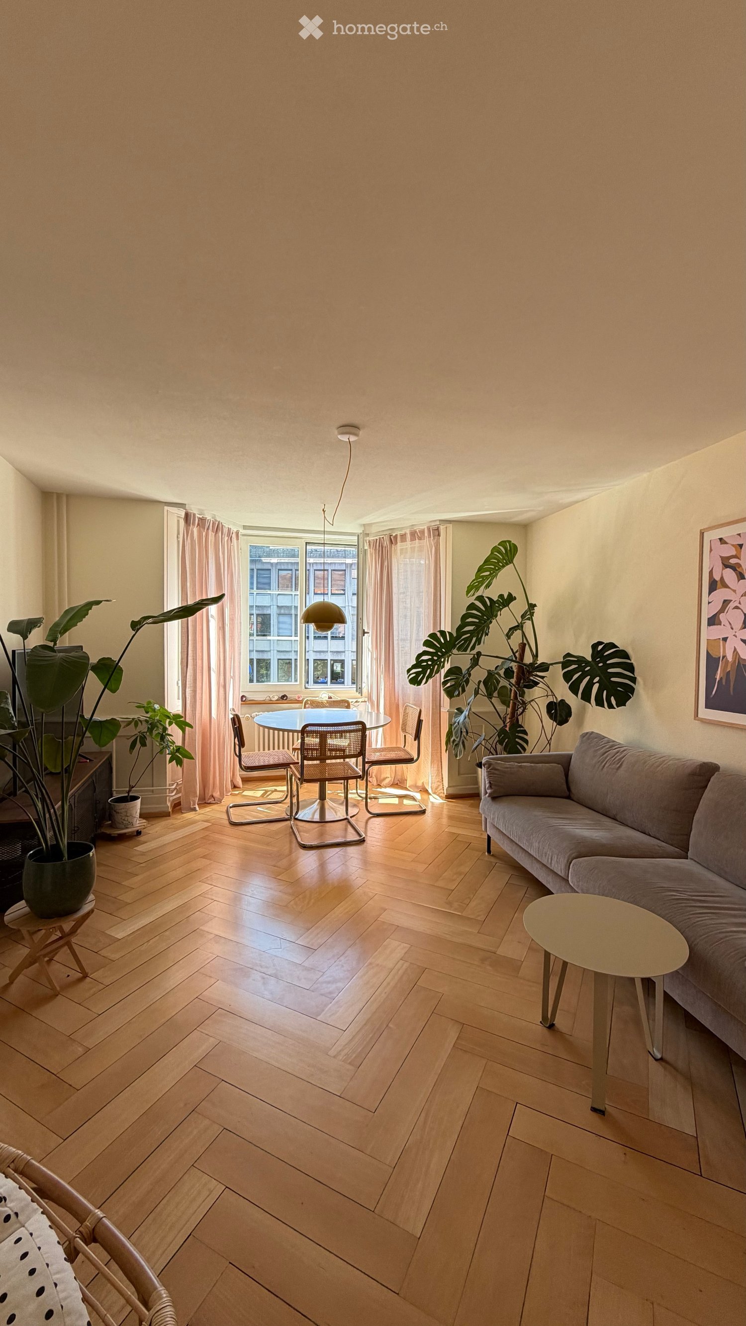 Open-plan living and dining area with wooden herringbone flooring, a grey sofa, a coffee table, a dining table with chairs, and potted plants.