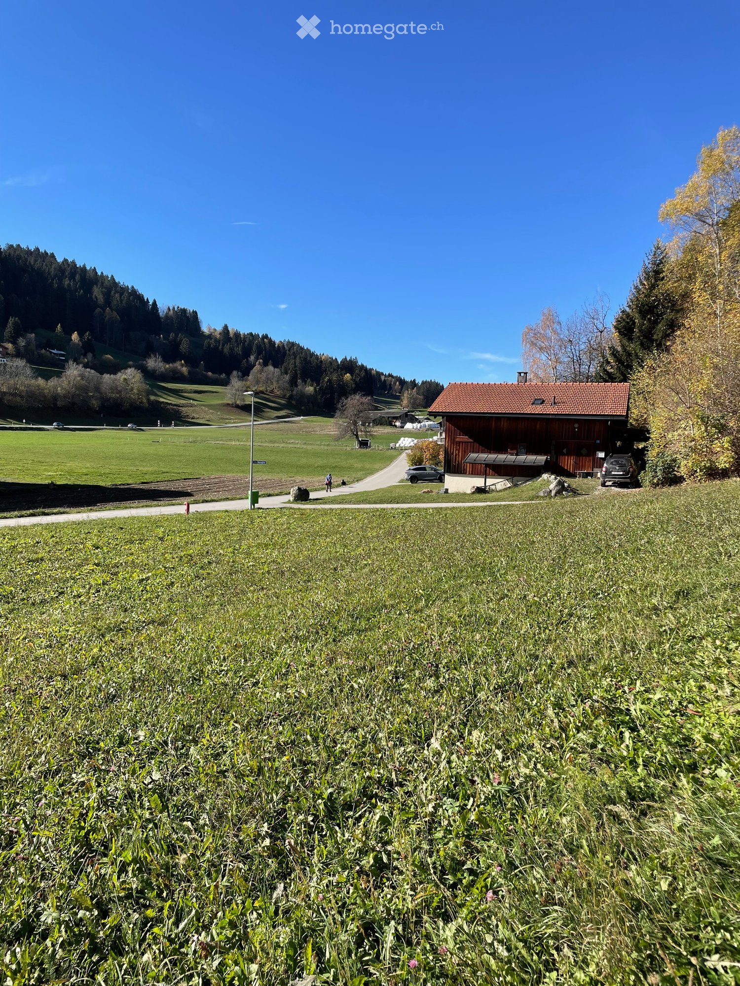A rural landscape with a wooden house, grassy fields, trees, and a clear blue sky.