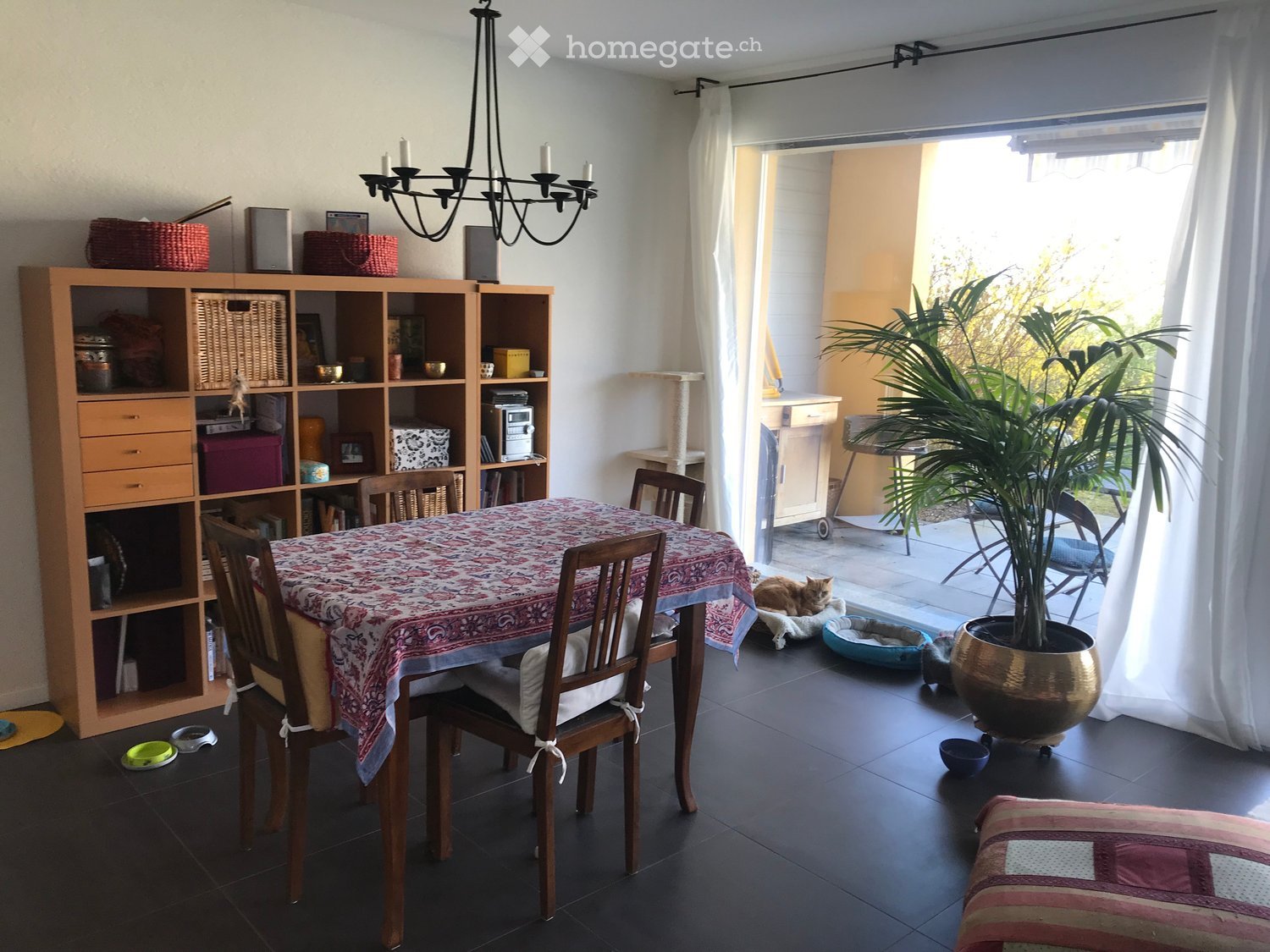Dining area with a wooden table covered in a patterned tablecloth, surrounded by wooden chairs. A bookshelf filled with books and decorative items is visible, along with a cat and its accessories. A large potted plant is near the open doorway leading to a