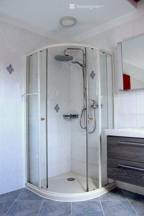 Idyllisches Wohnen im Grünen – 6.5-Zimmer-Haushälfte auf dem Bauernhof 7