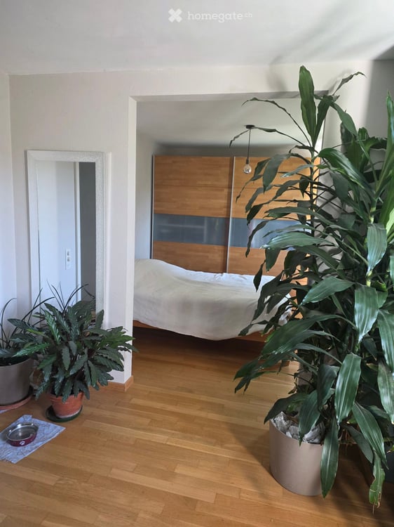 Charmantes 6-Zimmer-Zweifamilienhaus in Biel-Benken BL – Komplett renoviert! 2
