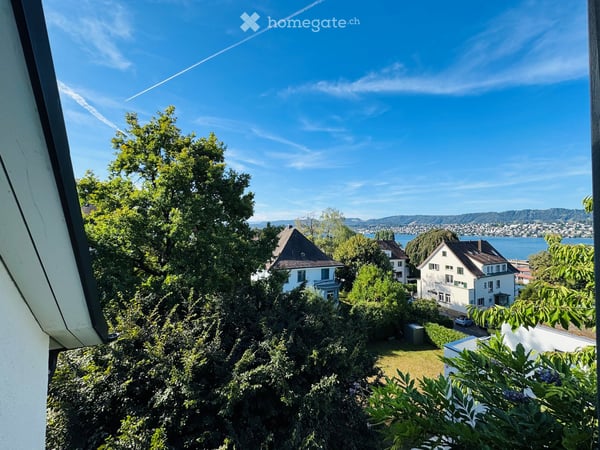 Dachwohnung mit traumhaftem Seeblick & Cheminée 2