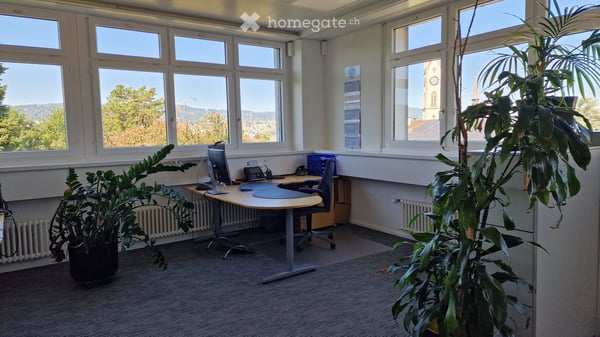Büro in Küsnacht ZH 6