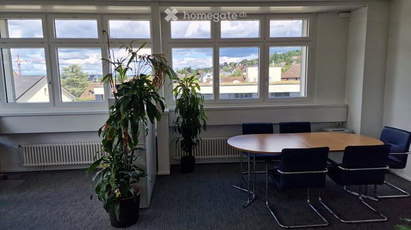 Büro in Küsnacht ZH 5