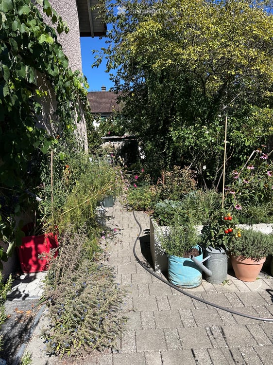 Gemütliches, schönes Studio im 2. Obergeschoss in Winterthur 14