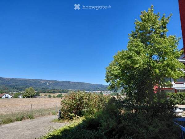 Sonnige geräumige Wohnung mit Blick ins Grüne befristet zu vermieten 11