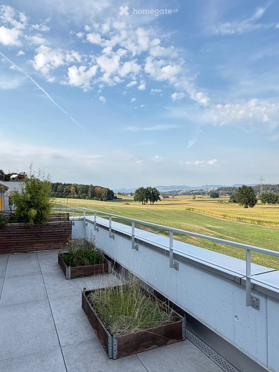 Nachmieter gesucht für helle 5.5 Zimmer Attika Wohnung mit unverbaubarer Aussicht in Dietwil