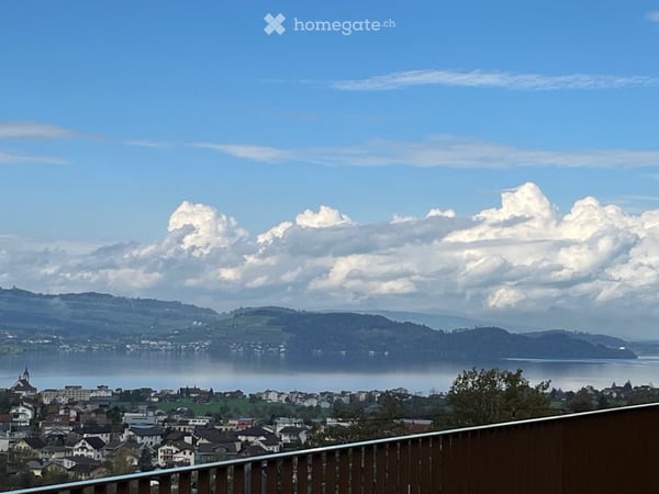 Attikawohnung in Goldau 7