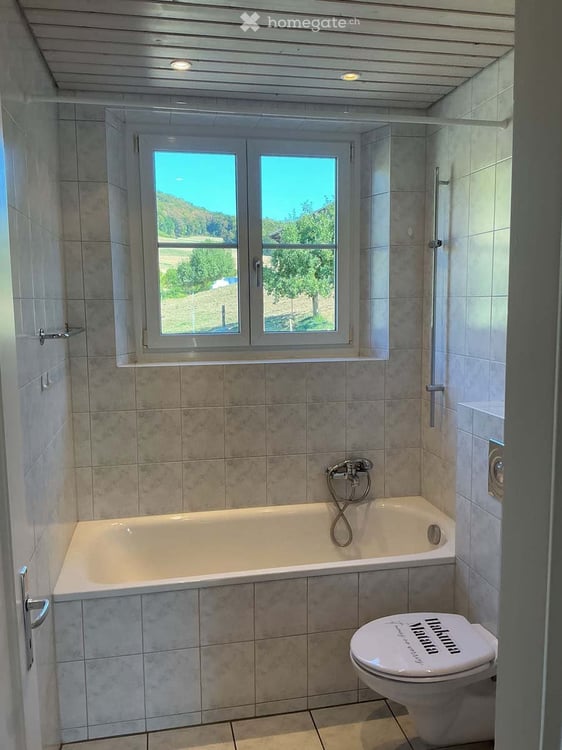 Gemütliche 3-Zimmer-Wohnung mit Balkon/Gartensitzplatz in Rothenfluh 17