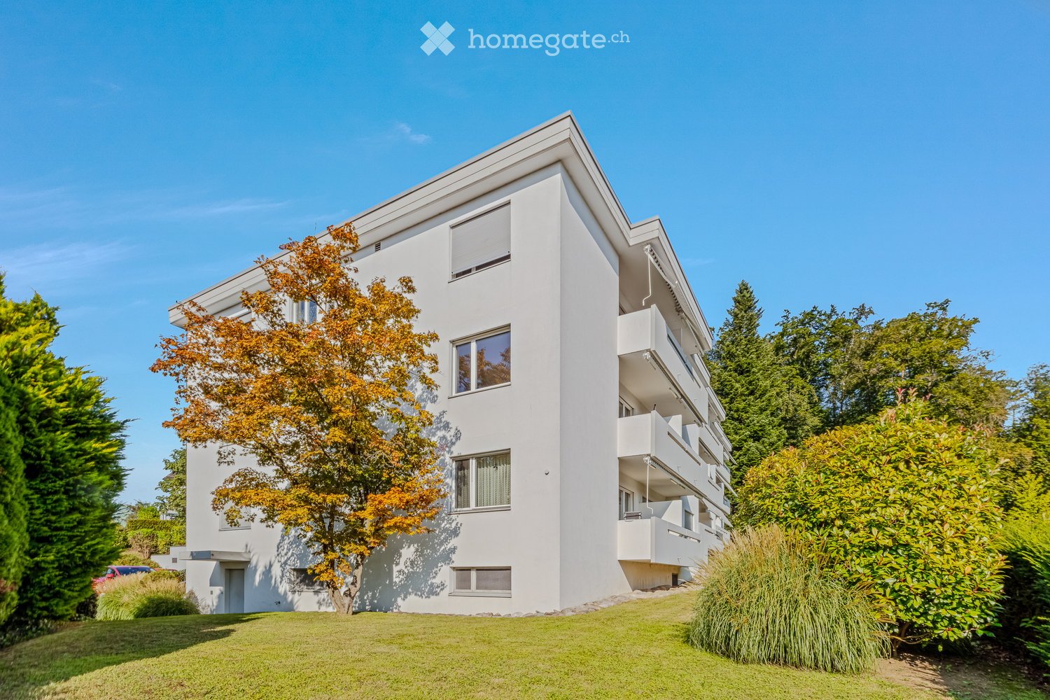 Modern white multi-story building with large windows and balconies, surrounded by well-maintained greenery and trees.