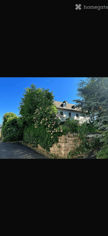 Charmantes Geschäftshaus mit Potenzial in Gensingen – 11,5 Zimmer, 475 m² Nutzfläche 3