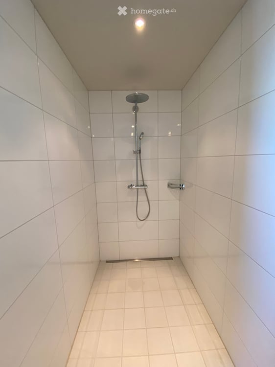 Grosszügige 4-Zimmer-Maisonette-Wohnung im Loft-Stil an der Zentralstrasse, Zürich 30